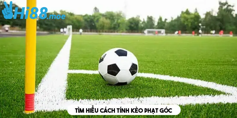 Cách tính kèo phạt góc là gì người chơi cần biết 