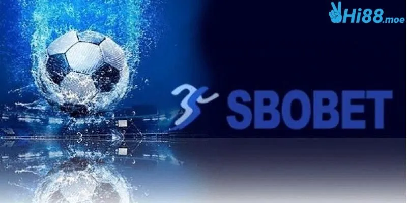 Tại sao sảnh cược Sbobet lại được hội viên yêu thích hàng đầu?