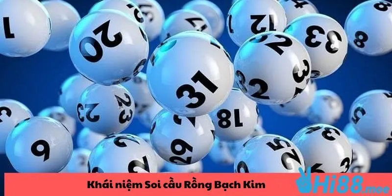 Tân binh Hi88 cần hiểu khái niệm soi cầu Rồng Bạch Kim